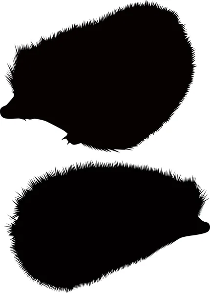 Two hedgehogs — Stock Vector