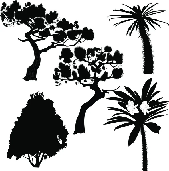 Aantal bomen — Stockvector