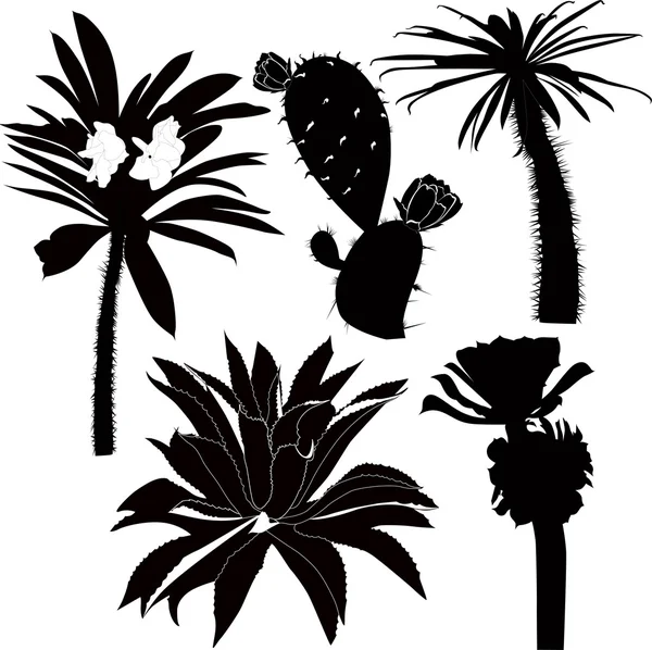 Plantas y árboles tropicales — Archivo Imágenes Vectoriales