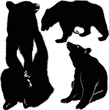 ayılar hayvan silhouettes