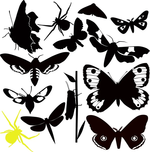 Mariposas — Archivo Imágenes Vectoriales