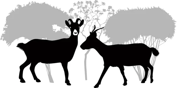 Cabras sobre fondo de árbol — Vector de stock