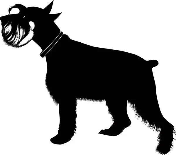 Zwergschnauzer dog — Stock Vector