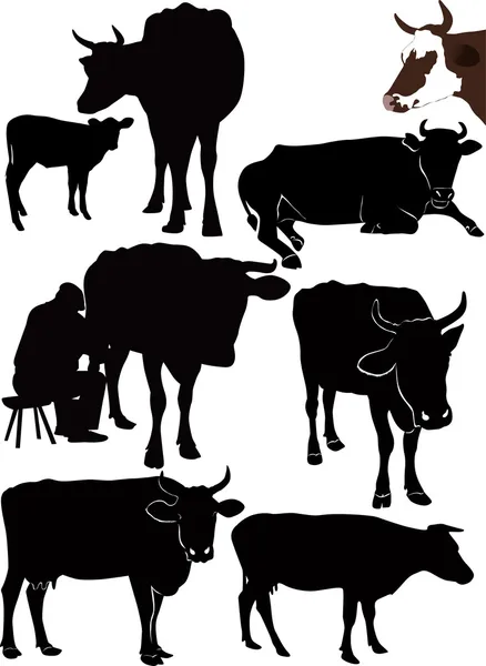 Cows animals Royalty Free Stock Illustrations