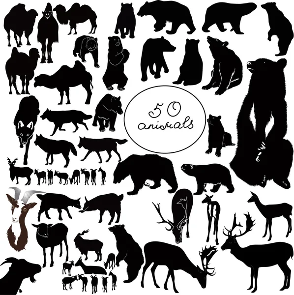 50 animals — Stock Vector