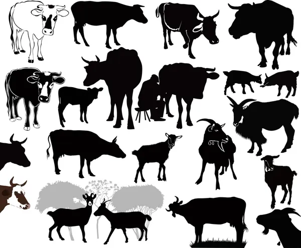 Cow goat animals calf — Stock Vector