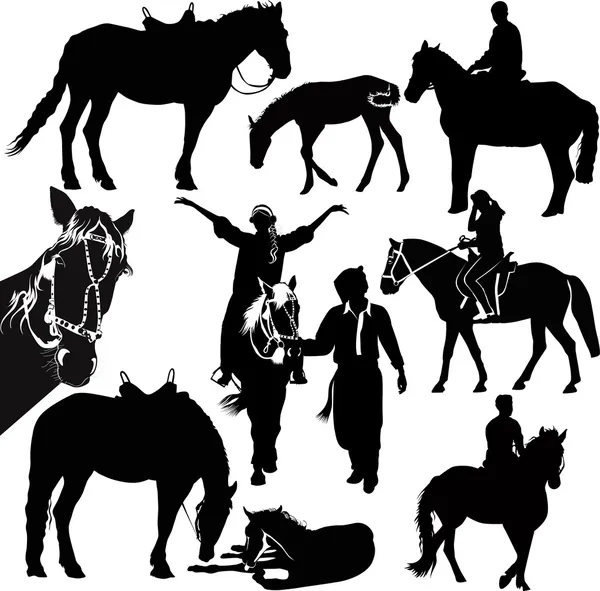 Caballos animales deporte ecuestre — Vector de stock