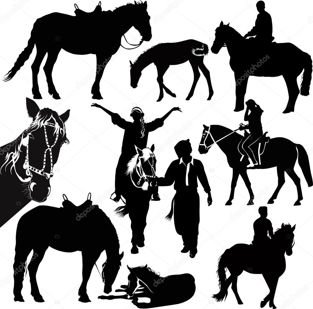 horses animals equestrian sport