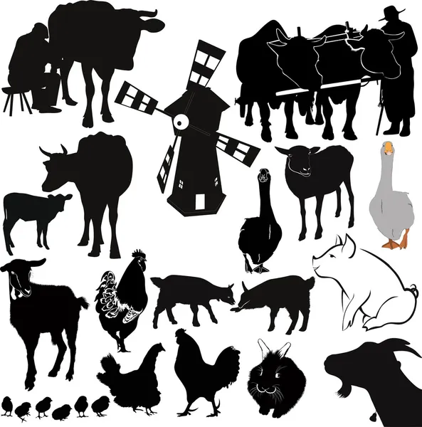 Farm livestock farming — Stock Vector