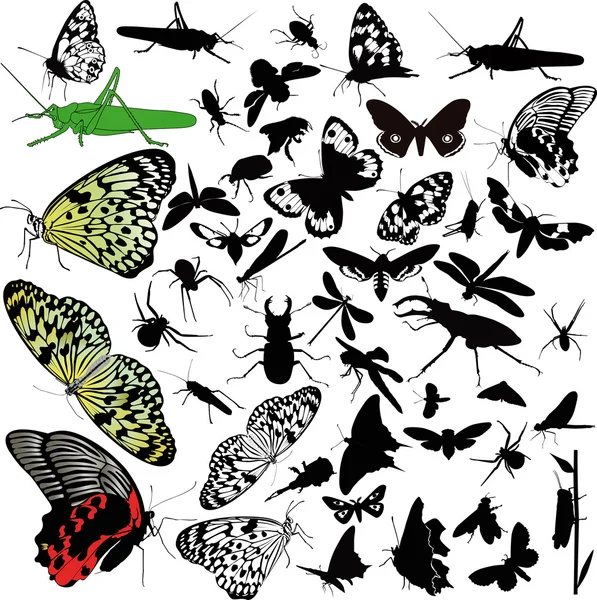 Uppsättning av insekter djur — Stock vektor