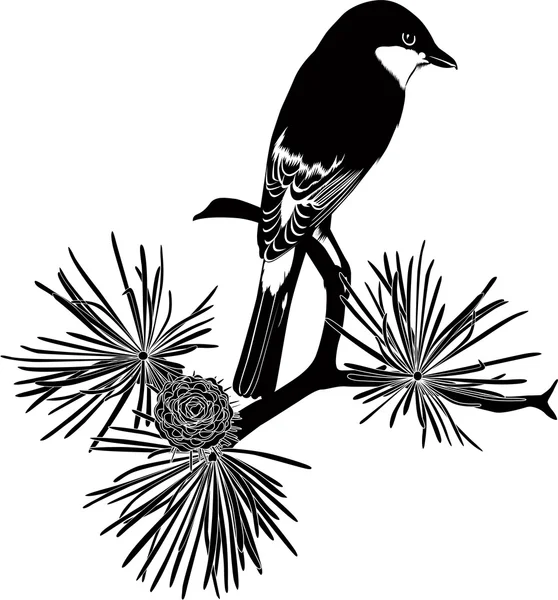 Fågel sitter på grenen — Stock vektor