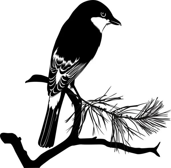 Oiseau sur une branche — Image vectorielle