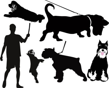 safkan köpekler hayvanlar