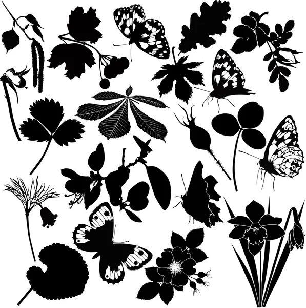 Colección de flores y mariposas — Vector de stock