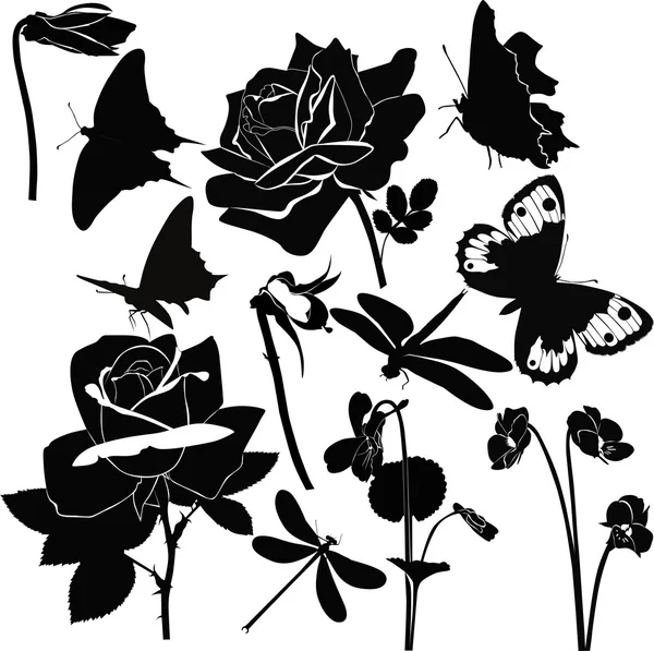 Květiny hmyzu motýl fialová růže — Stockový vektor
