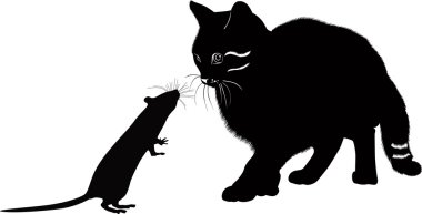 kedi ve fare Toplantı