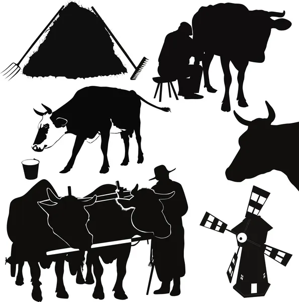 Een kalf dieren koe — Stockvector