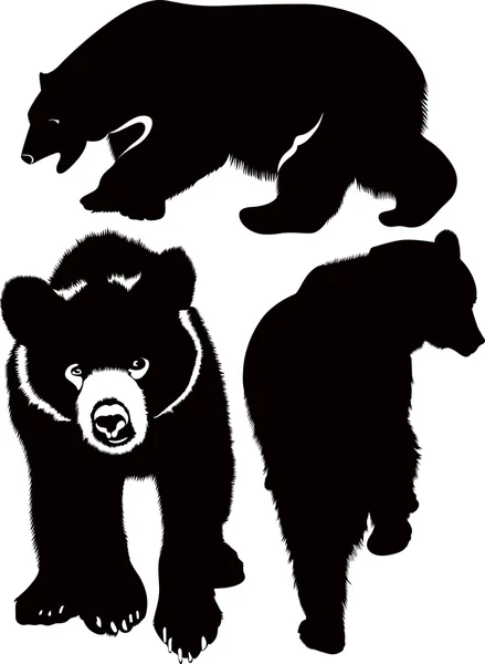 Αρκούδες — Διανυσματικό Αρχείο