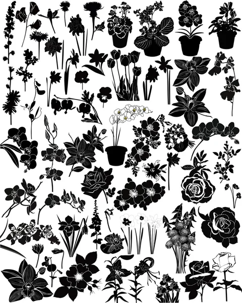 Vector collectie van bloemen — Stockvector