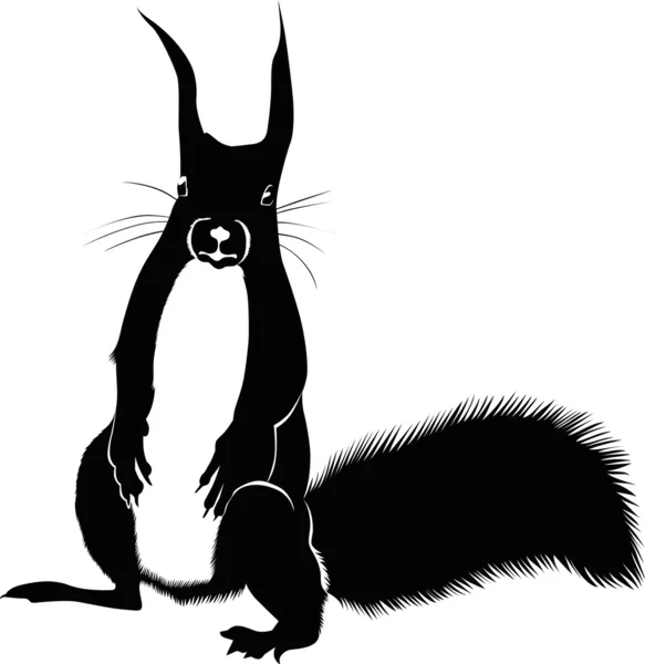 Écureuil animal — Image vectorielle