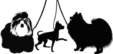 Sergi bir safkan köpekler hayvanlar