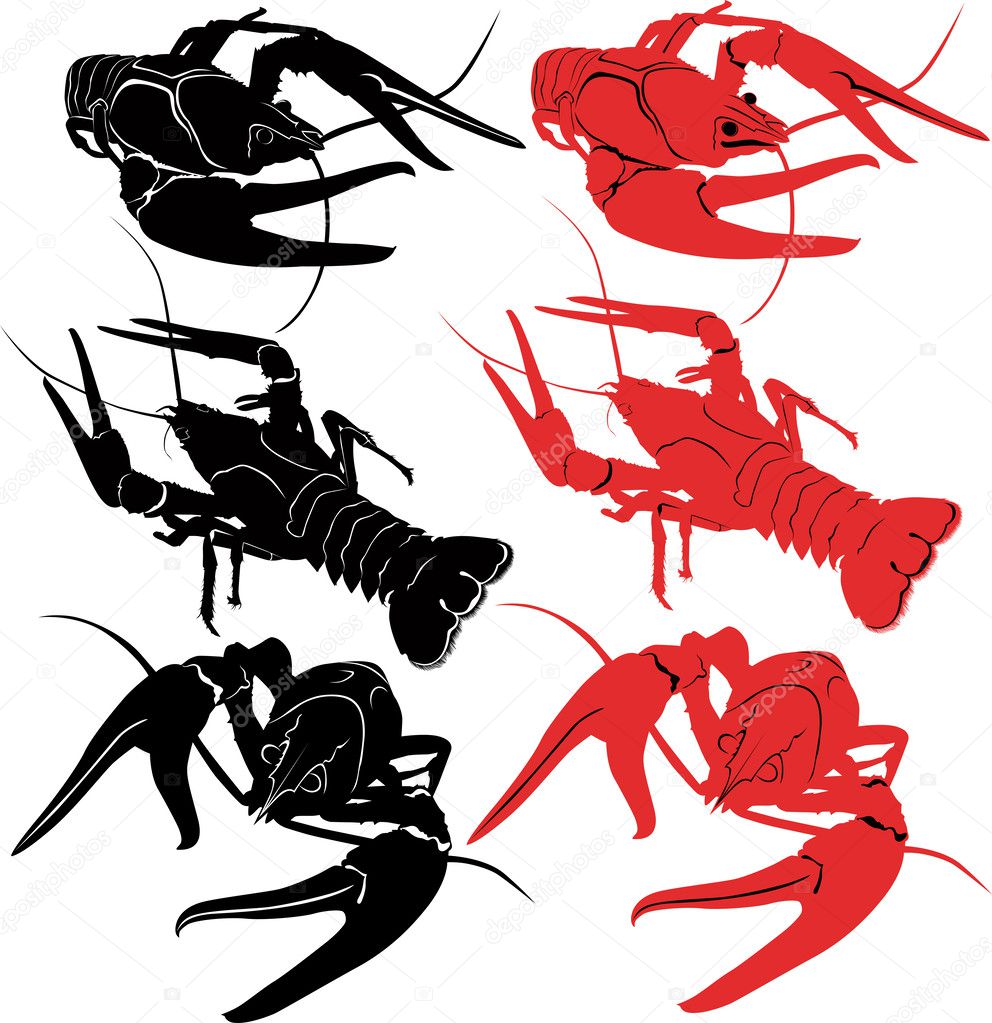 Crayfish animals