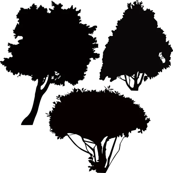 Siluetas árboles — Vector de stock