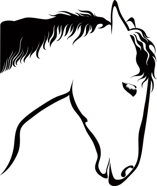 Cheval de dessin — Image vectorielle