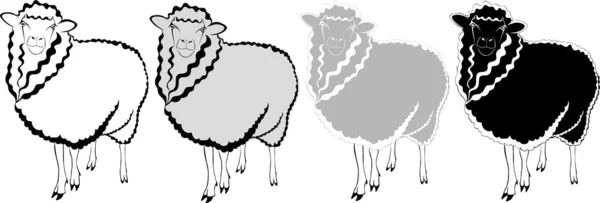 Djur får lamm vektor isolerad på vit bakgrund — Stock vektor