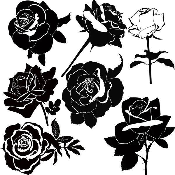 Rosas. — Vector de stock