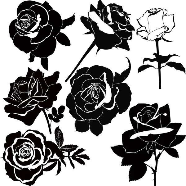 Roses — Stock Vector