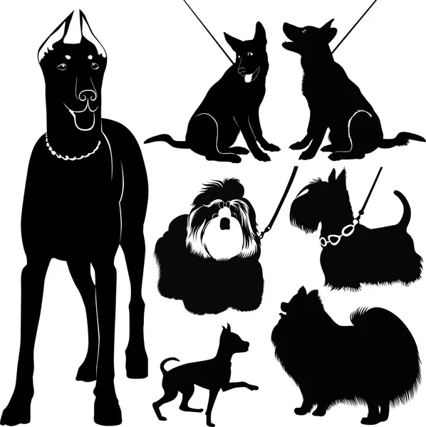 Collection chiens dans l'exposition — Image vectorielle