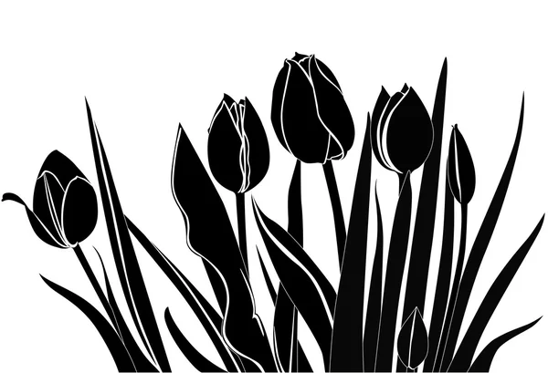 Tulpen Blumen — Stockvektor