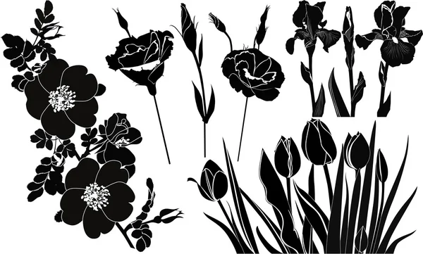 Bloemen — Stockvector