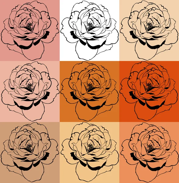 Collage van multi-gekleurde rozen — Stockvector