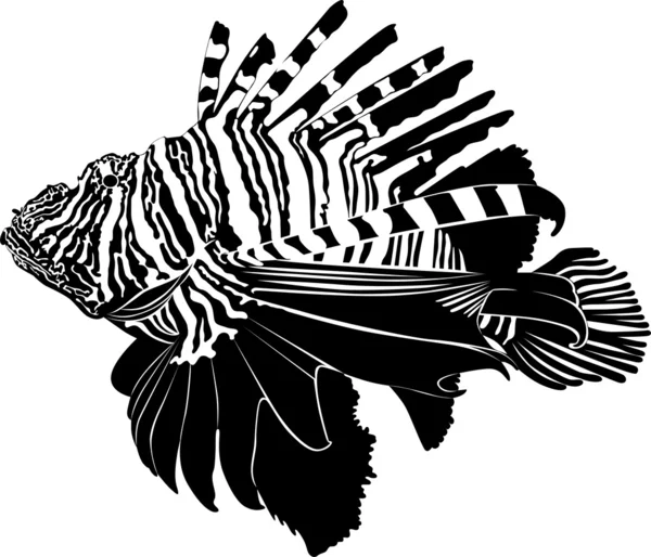 Pesci d'acquario marino Zebra Pesce leone — Vettoriale Stock
