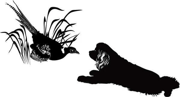 Cocker chien épagneul regardant vers l'oiseau — Image vectorielle