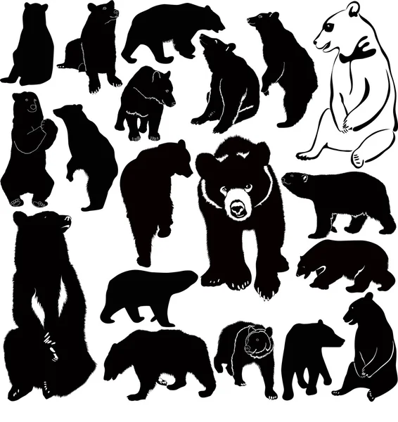 Bears illustration — Stock Vector