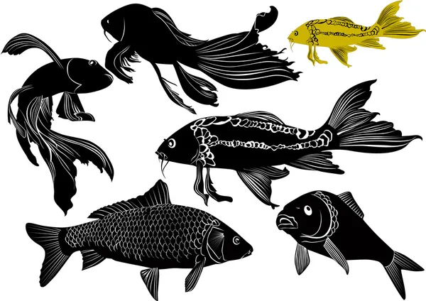 Fisk, svart och vitt — Stock vektor