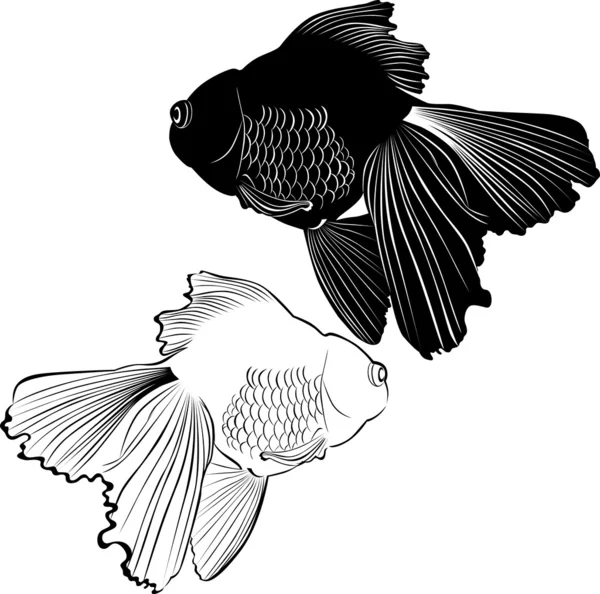 Black and white fish — Stock Vector