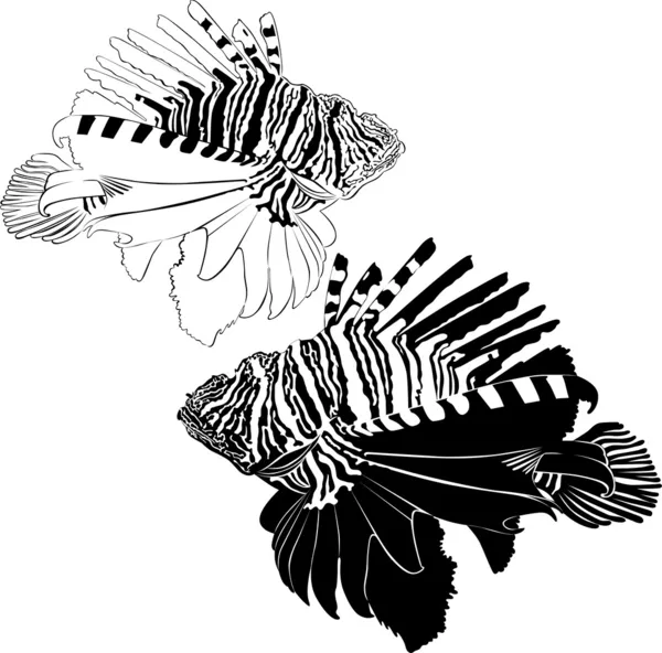 Poisson-lion zèbre — Image vectorielle