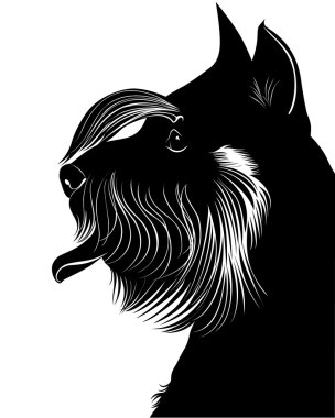 Schnauzer köpek