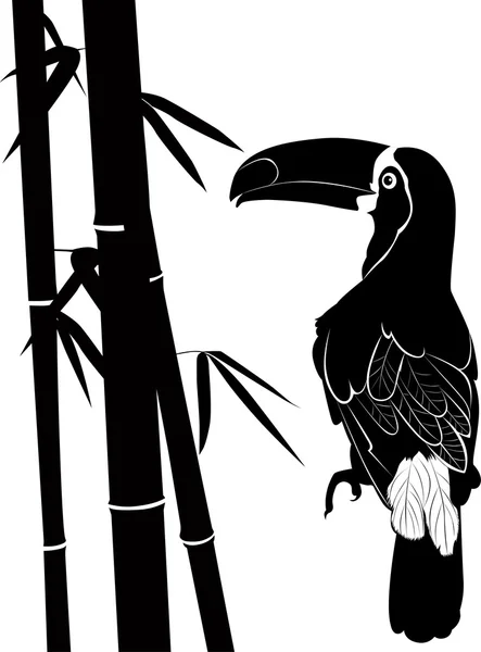 Toucan — Image vectorielle