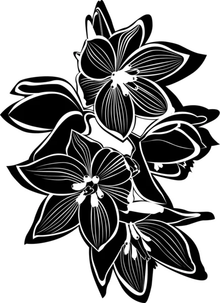 Orchidee — Vettoriale Stock