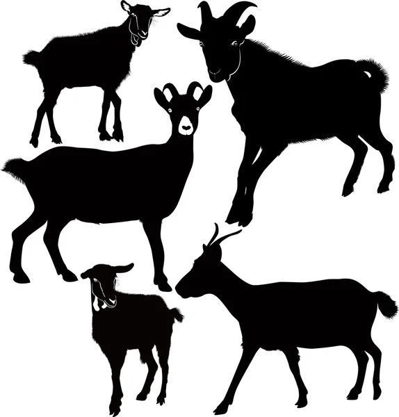 Set capre — Vettoriale Stock