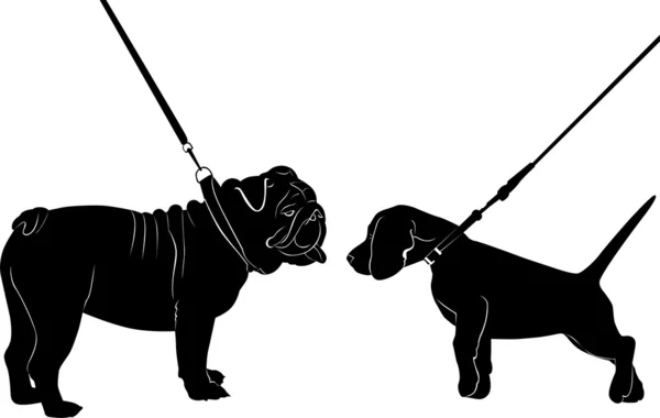 Honden Engels bulldog foxterriër — Stockvector