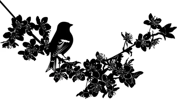 Pájaro en flor de cerezo ramita — Archivo Imágenes Vectoriales