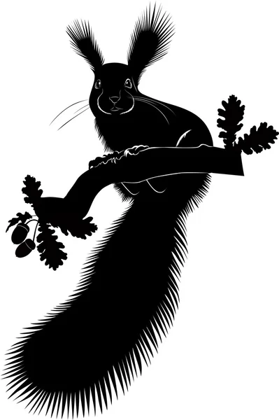Écureuil vecteur — Image vectorielle