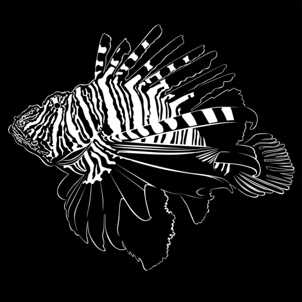 Zebra lion fish — Stock Vector