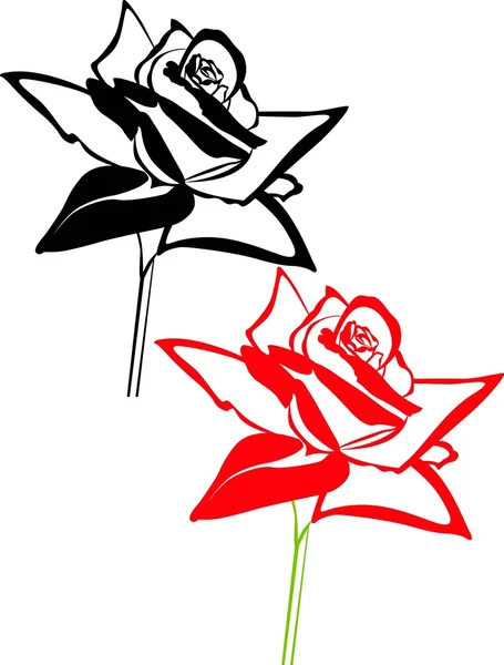 Siyah ve kırmızı gül çiçekler — Stok Vektör
